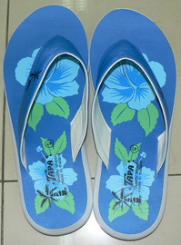 Beach Slipper ( Beach Slipper)