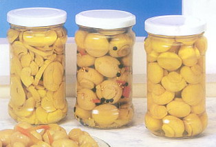 Canned Pilz (ganz, Stücke und Stiele) (Canned Pilz (ganz, Stücke und Stiele))