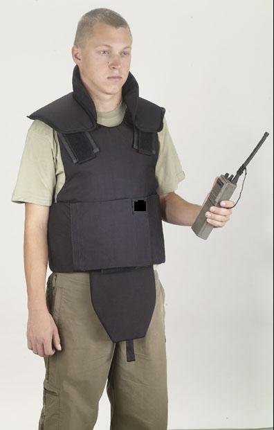  Bulletproof Vest (Пуленепробиваемый жилет)