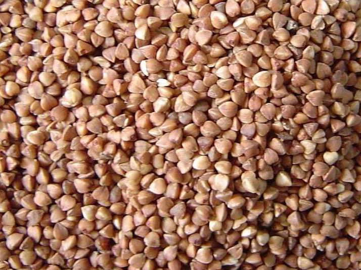  Roasted Buckwheat Kernels (Sarasin Kernels)