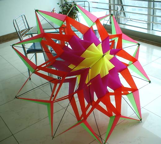  Cellular Kite ( Cellular Kite)