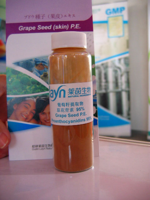  Grape Seed Extract In Bulk (Traubenkern-Extrakt in Bulk)