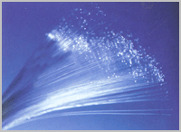  Pa610 Resin ( Pa610 Resin)