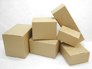 Shipping Box (Shipping Box)
