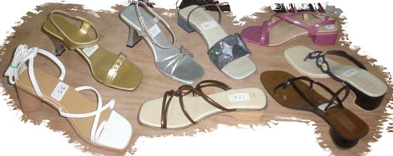  Women`s Footwear ( Women`s Footwear)