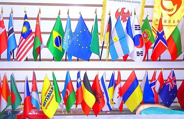  Fan PE Hand Flag ( Fan PE Hand Flag)