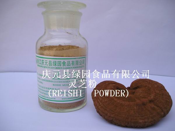  Reishi Mushroom Powder
