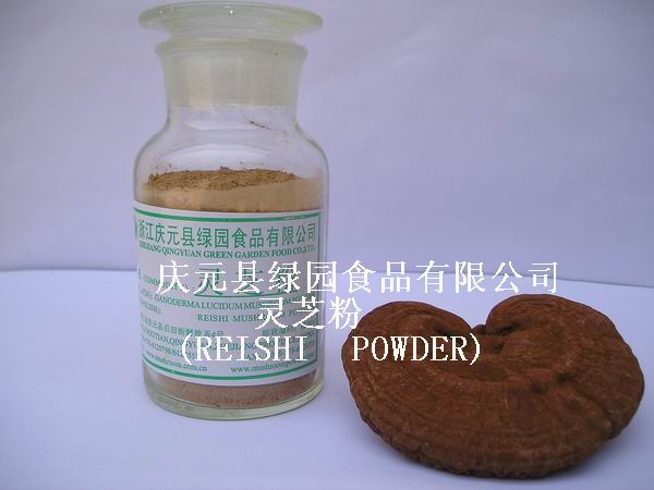  Reishi Mushroom Powder ( Reishi Mushroom Powder)