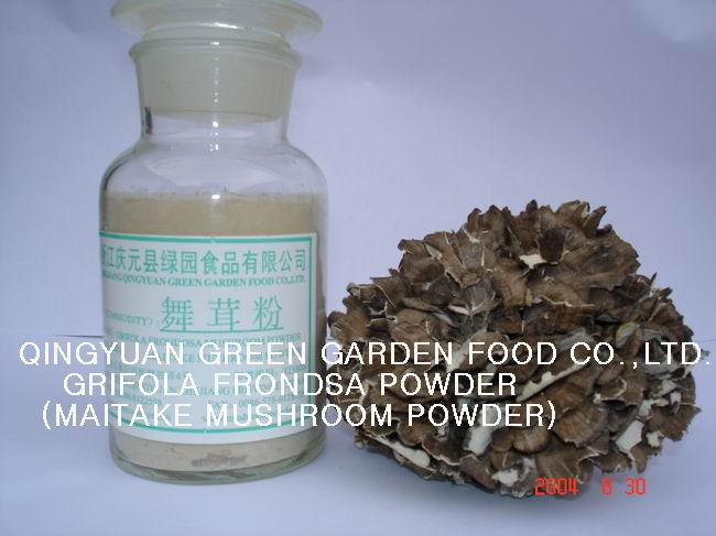  Grifola Frondosa Powder ( Grifola Frondosa Powder)