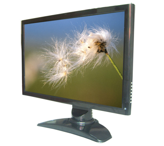  22 Inch Lcd Monitor (22-дюймовый ЖК-монитор)