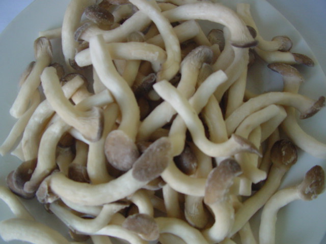  Frozen Mushroom (Champignons surgelés)