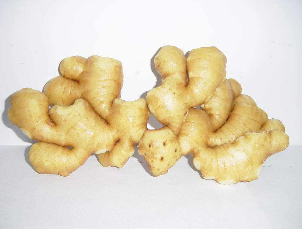  Fresh Ginger (Свежий имбирь)