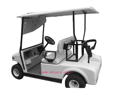  Golf Cart With 2 Seats (WB-GC10)