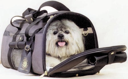 Pet Carrier (Pet Перевозчика)
