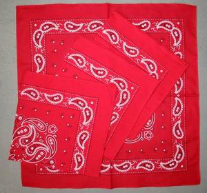  Bandana