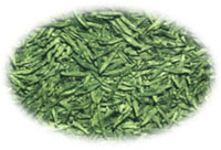  Longjing Green Tea