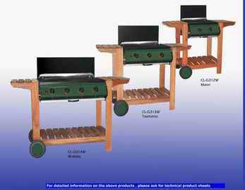 Gas BBQ und Teile (Gas BBQ und Teile)