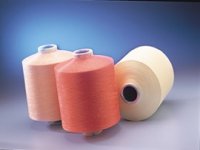 Polyester Drawn Texturized Yarn(Pdty) (Полиэстер Ничьи Текстурированный Пряжа (Pdty))