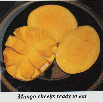  Mango Pulp (Манго Целлюлоза)