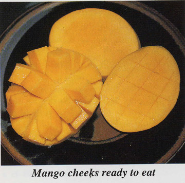  Mango Pulp (Mango Pulp)