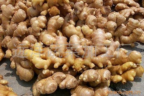  Ginger, Dried Ginger, Ginger Flake (Имбирь, сушеный имбирь, имбирь Flake)