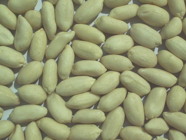  Blanched Peanuts ( Blanched Peanuts)
