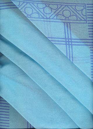  Nylon Fabric ( Nylon Fabric)
