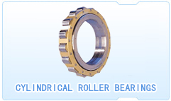  Cylindrical Roller Bearing