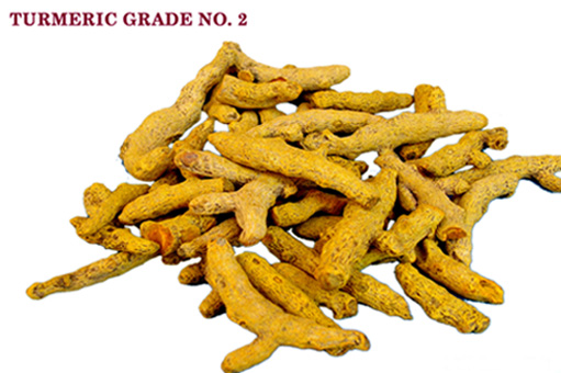  Turmeric (Curcuma)