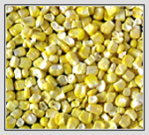  FD Sweet Corn (FD Сладкая кукуруза)