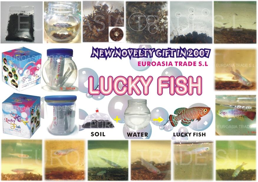  Lucky Fish (Lucky рыбы)