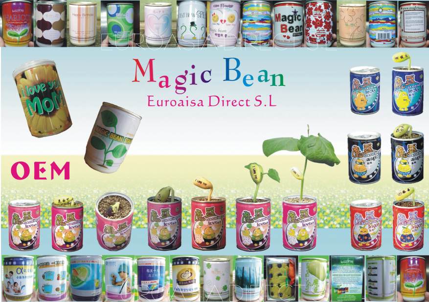 Magic Bean (Magic Bean)