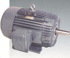  3-phase Induction Motor