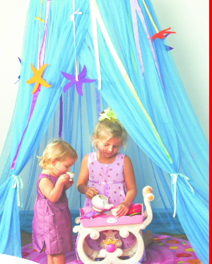  Organza Canopy (Organza Canopy)