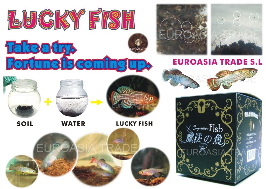  Lucky Fish (Lucky рыбы)