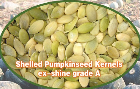  Shine Skin Pumpkin Seeds Kernels