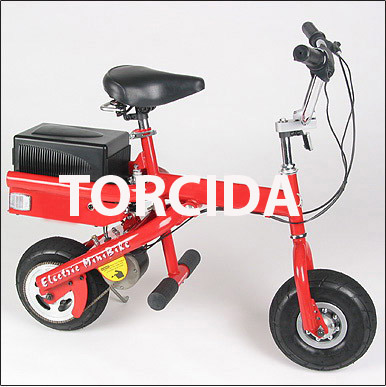  High Quality Mini Electric Bike - Maximum Load 150kg