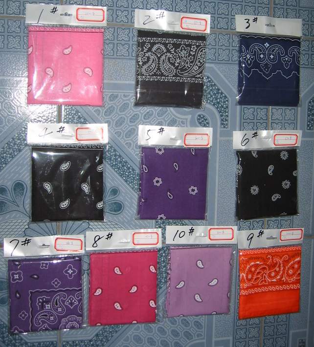  Triangle Bandana