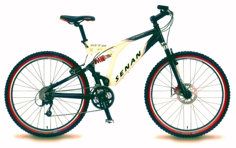  26 21 Speed Dual Suspension MTB (26 21 Dual Speed Suspension MTB)