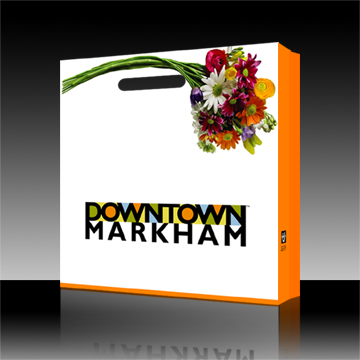  Paper Carrier Bag (Livre Carrier Bag)