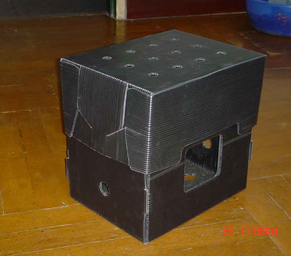 Black Carton (Black Carton)