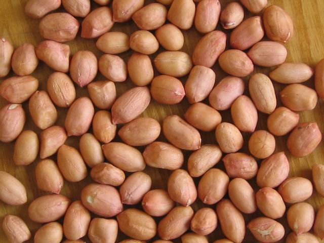  Peanut Kernel (Ядро ореха арахиса)