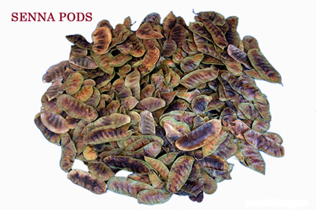  Senna Pods (Стручки сенны)