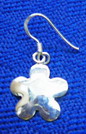 Sterling Silver 925 (Серебрянные 925)