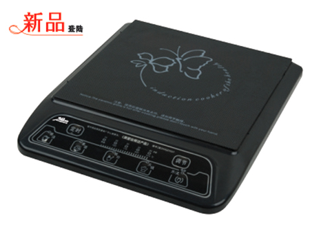  Induction Cooker (Индукционная плита)