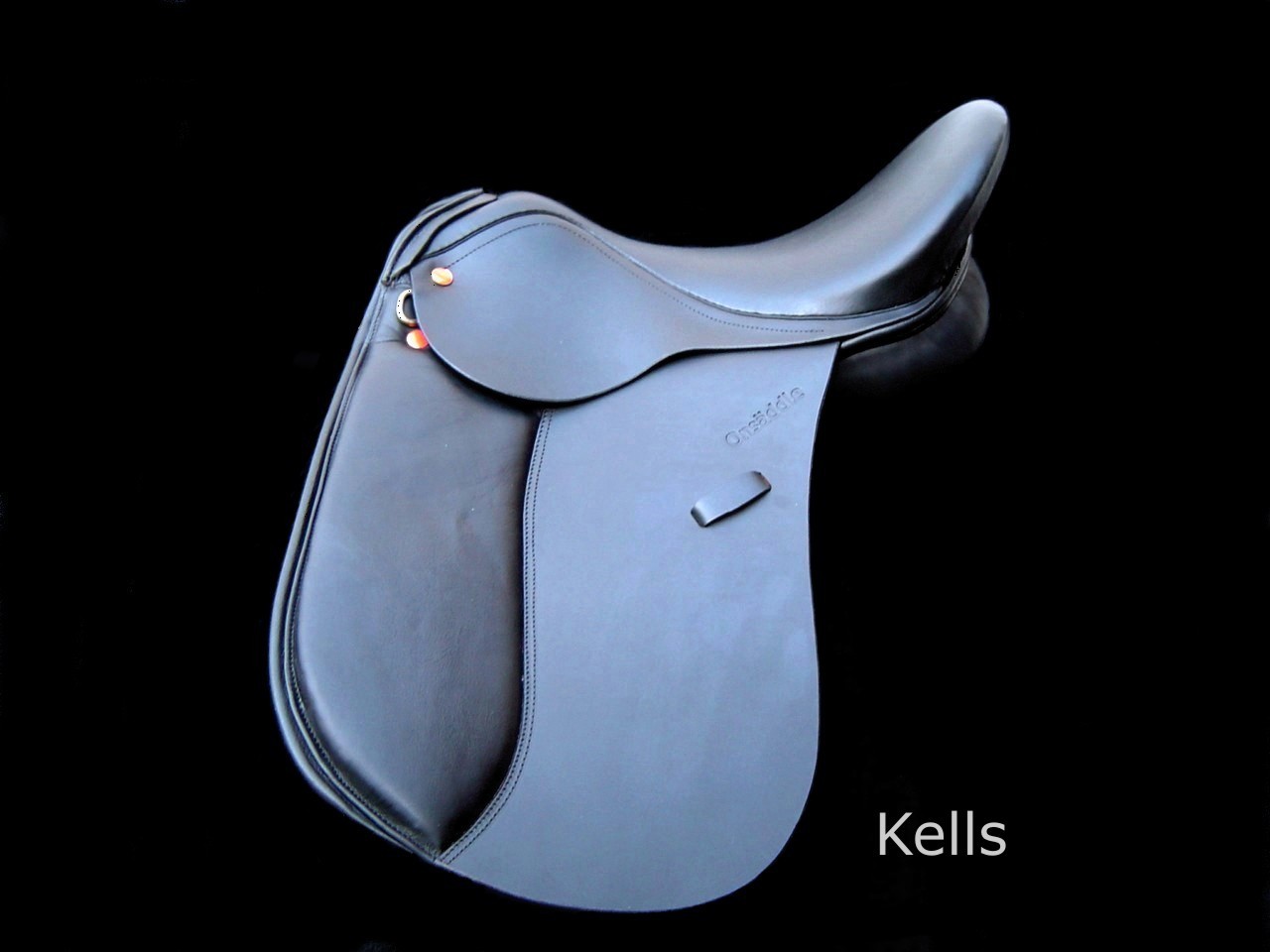 Horse Saddle (Cheval de selle)