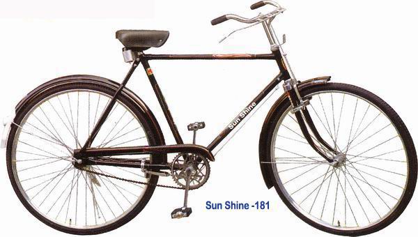 Phoenix Bicycle (Phoenix vélos)