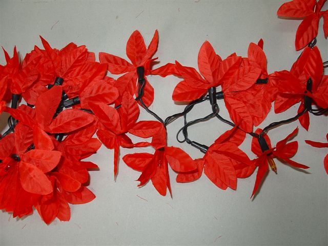  Christmas Lights, Rice Lights, Rope Lights (Christmas Lights, Reis Lights, Lichterschlangen)