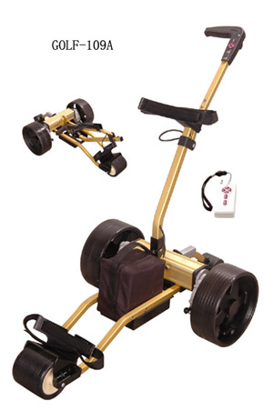  Electric Golf Cart (Voiturettes de golf électriques)