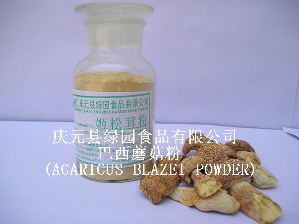  Agaricus Blazei Murill And Powder (Agaricus Blazei Murill Und Pulver)